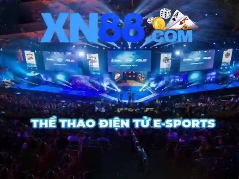 Hướng dẫn tham gia và mẹo trải nghiệm