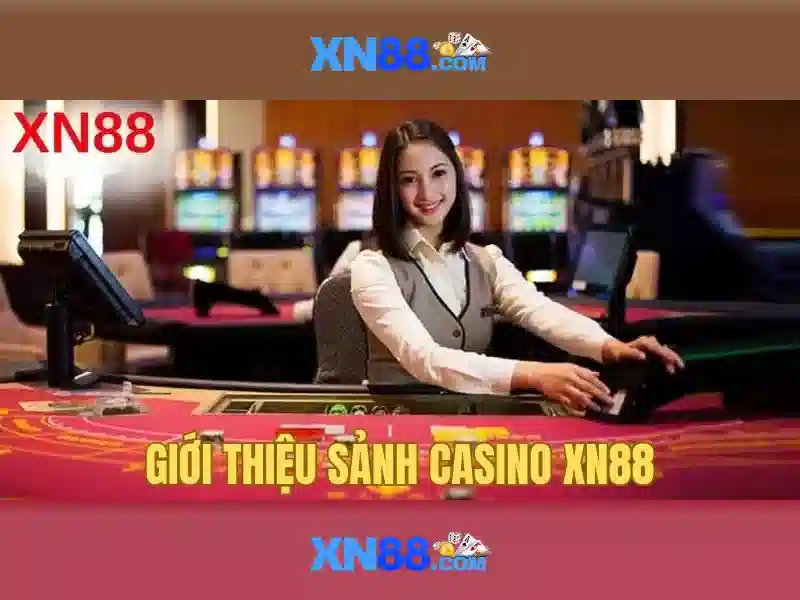 Khái niệm về XN88