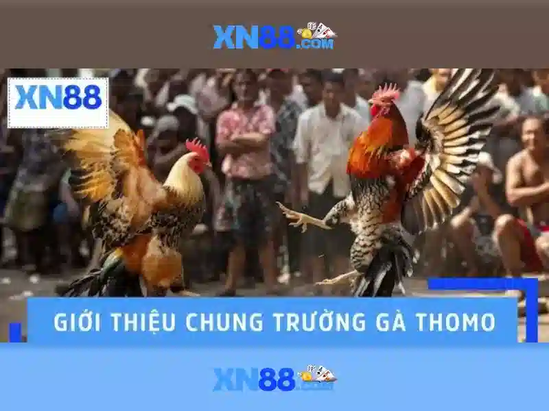 xn88-official – Tổng quan chủ đề và giá trị cốt lõi xn88-official – Tổng quan chủ đề và giá trị cốt lõi