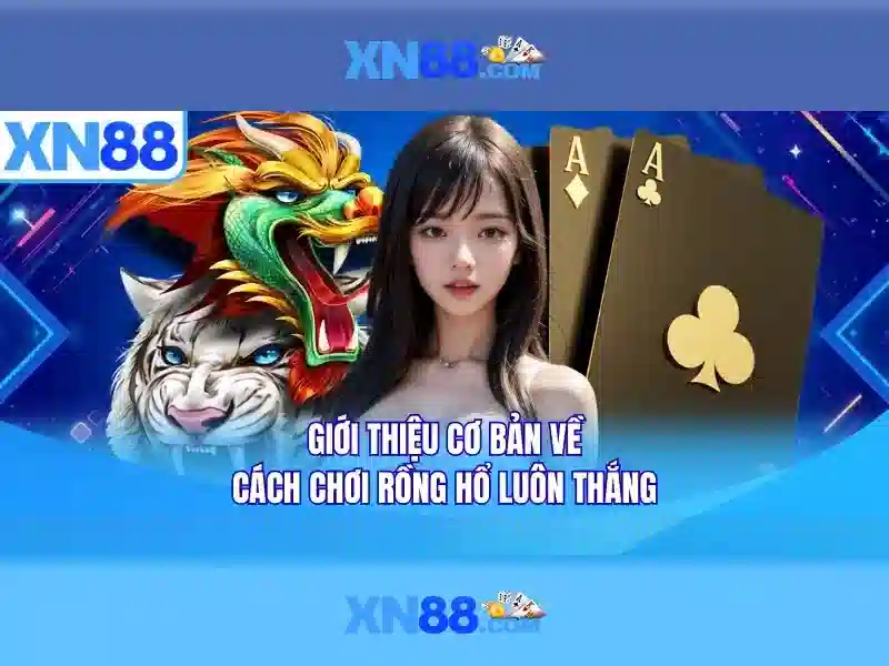xn88: Nền tảng giải trí trực tuyến