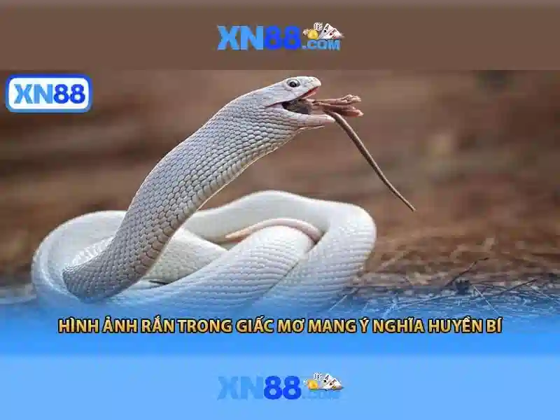 xn88: Tổng quan về nền tảng giải trí và cá cược trực tuyến