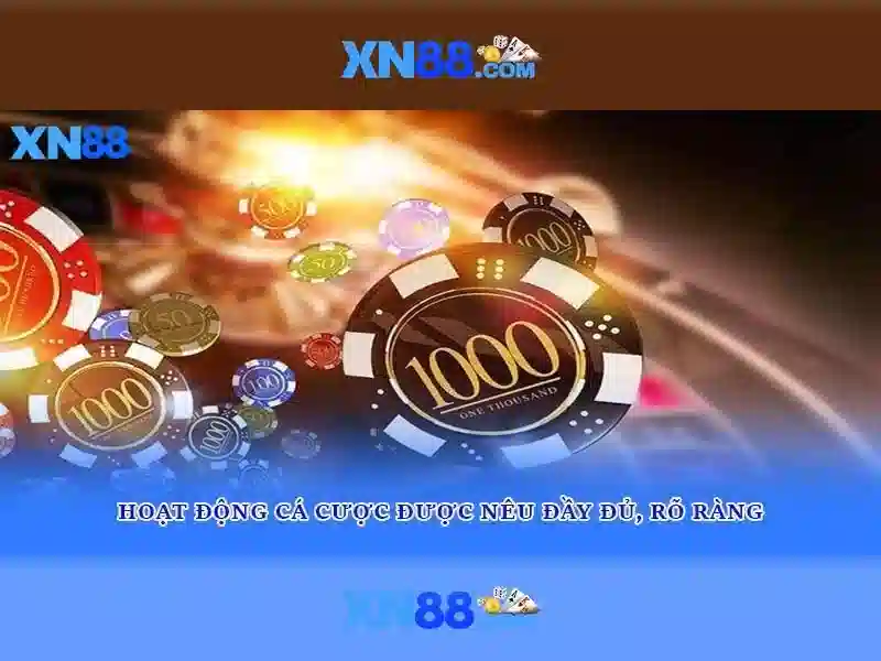Khuyến mãi và chương trình thưởng\n\n