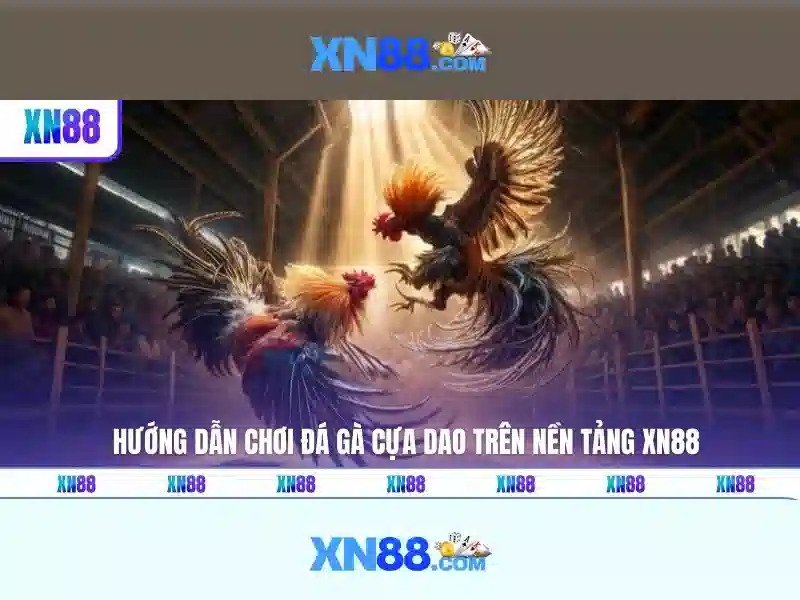 Khuyến mãi và chương trình thưởng cho người chơi