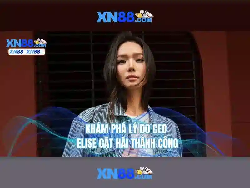 m1 xn88 – Khám phá nền tảng đột phá và trải nghiệm