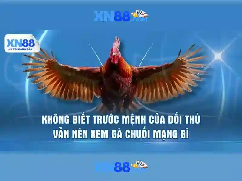 Tải app xn88 – chủ đề tổng quan và giá trị cốt lõi