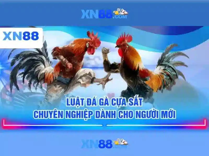 nhà cái xn88: Trải nghiệm đỉnh cao với xn88-mobi và xn88,com