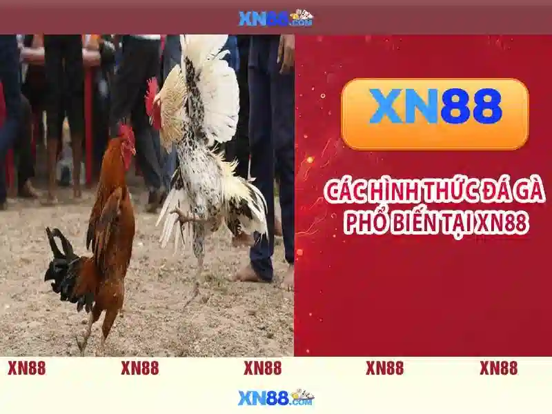 Danh mục trò chơi và thể loại