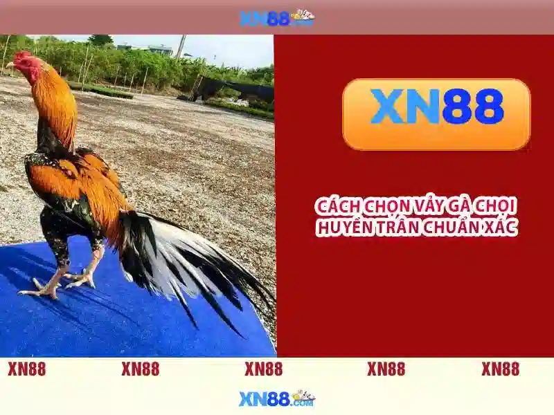 <!--IMG_PLACEHOLDER alt>An toàn và bảo mật khi tham gia xn88-->