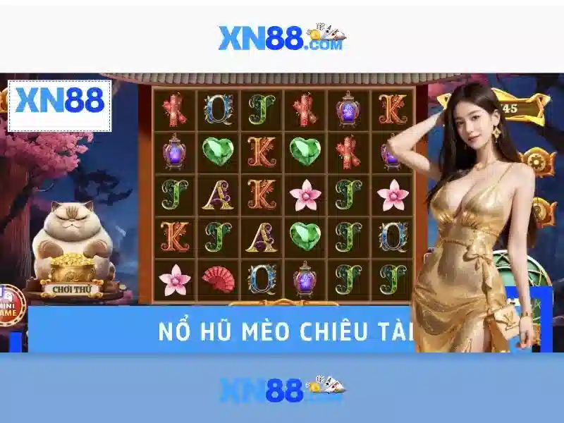 Lịch sử và nền tảng Lịch sử và nền tảng