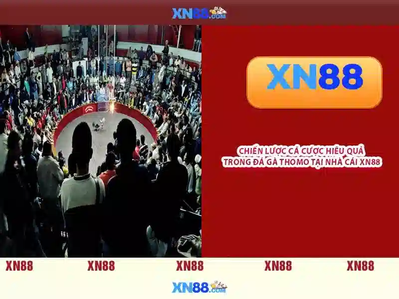 Lịch sử và sự phát triển của xn88