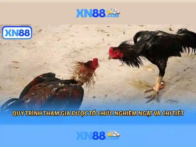 Danh mục trò chơi