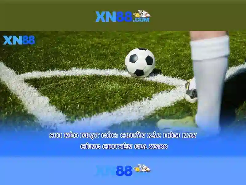 xn88 là gì: một cái nhìn tổng quan