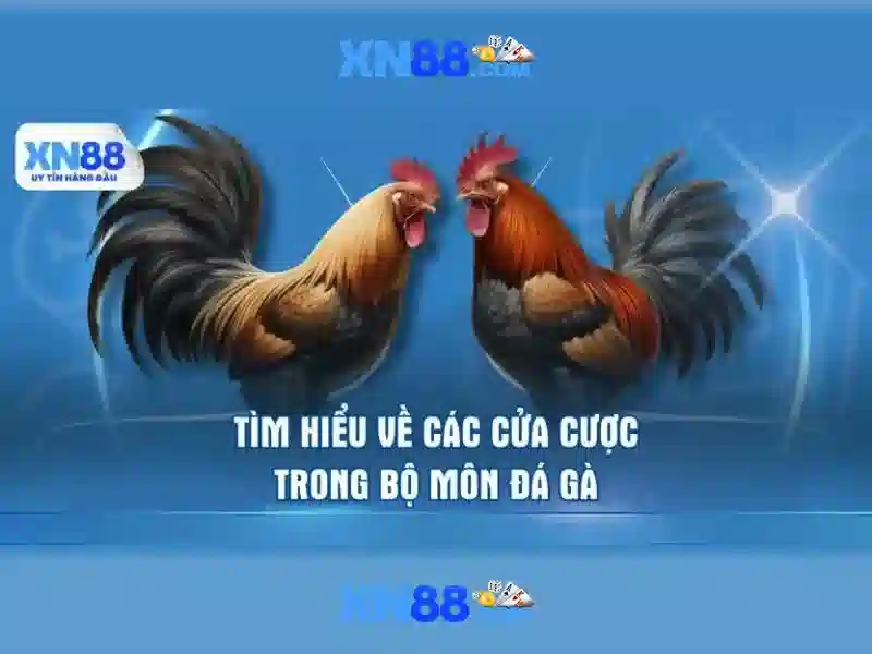 Cách hoạt động và mô hình kinh doanh của Xn88 Cách hoạt động và mô hình kinh doanh của Xn88