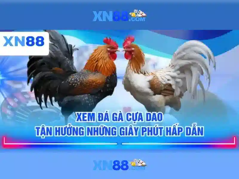 Sản phẩm và dịch vụ chính: ứng dụng thực tế của xn88 app com Sản phẩm và dịch vụ chính: ứng dụng thực tế của xn88 app com