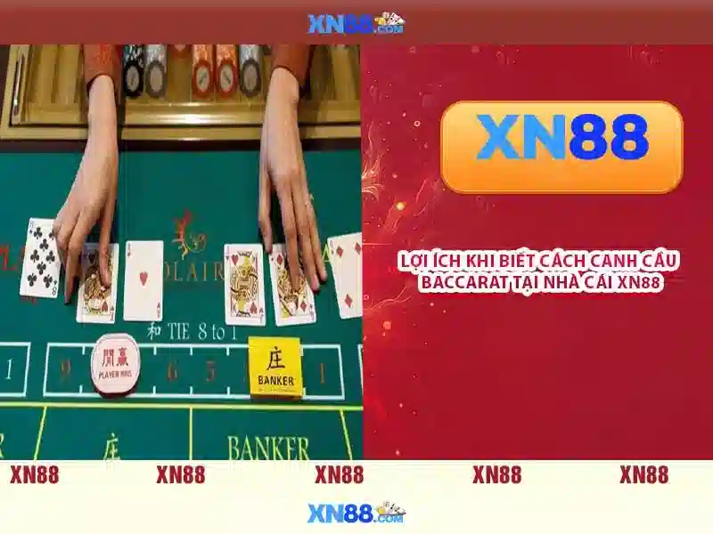 xn88: Đánh giá và Tổng quan
