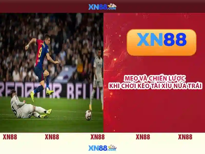 Tóm lại và lời mời trải nghiệm Tóm lại và lời mời trải nghiệm