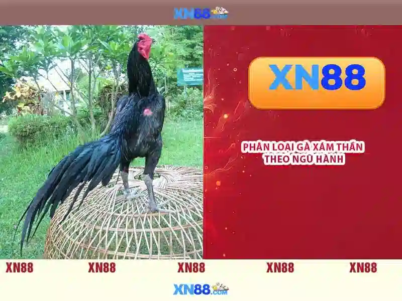Trò chơi và trải nghiệm người dùng\n