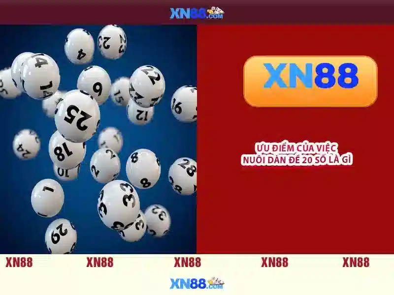 Gioi thieu ve xn88