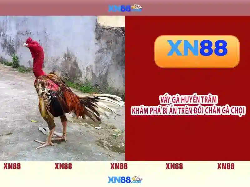 xn88: nền tảng cược và giải trí trực tuyến