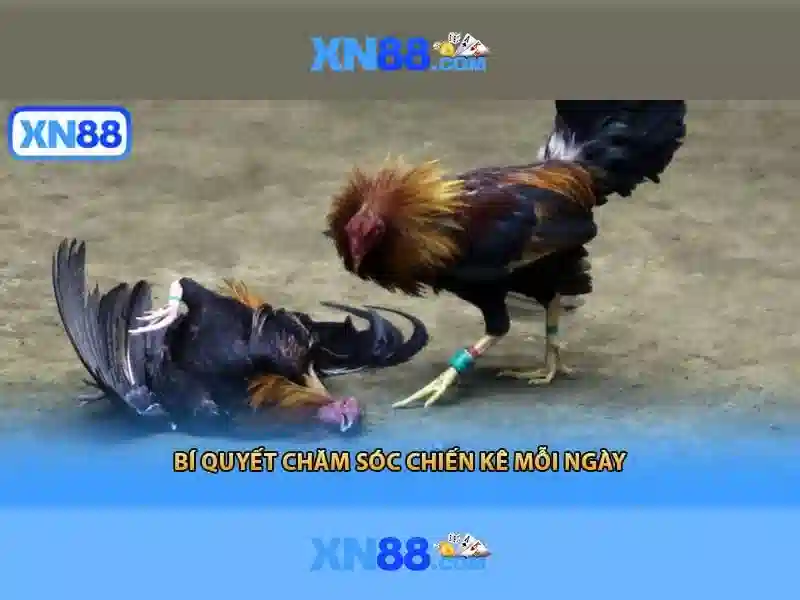 Biểu mẫu điền thông tin đăng ký tài khoản thành viên mới tại xn88