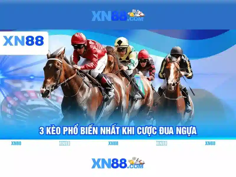 Trải nghiệm người dùng và hỗ trợ