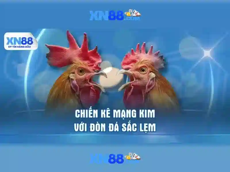 Giới thiệu về xn88