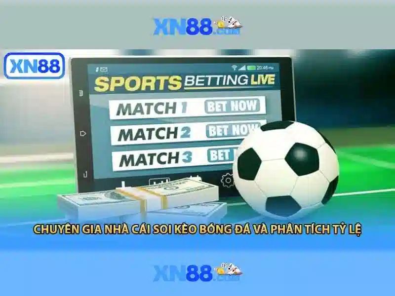 Bảo mật và trách nhiệm