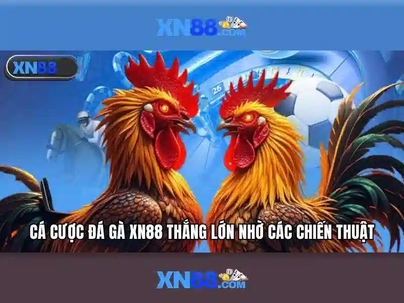 trang chủ xn88 – trải nghiệm người dùng và phản hồi cộng đồng