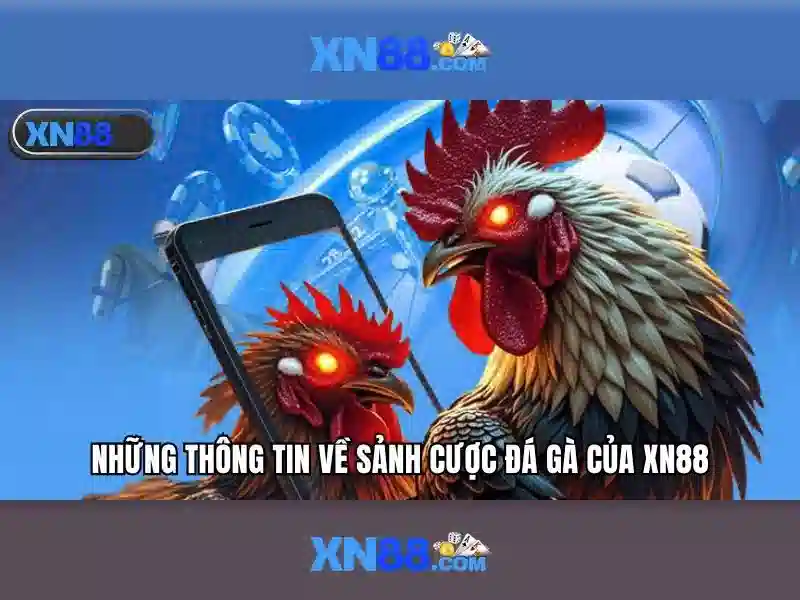XN88: Nền tảng cá cược trực tuyến và hệ sinh thái trò chơi