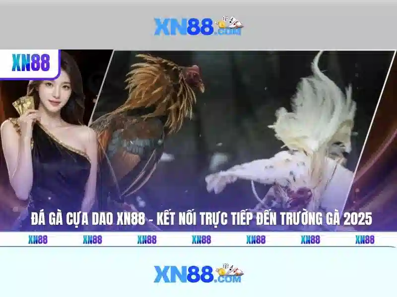 tải app xn88: Trải nghiệm và đánh giá tải app xn88