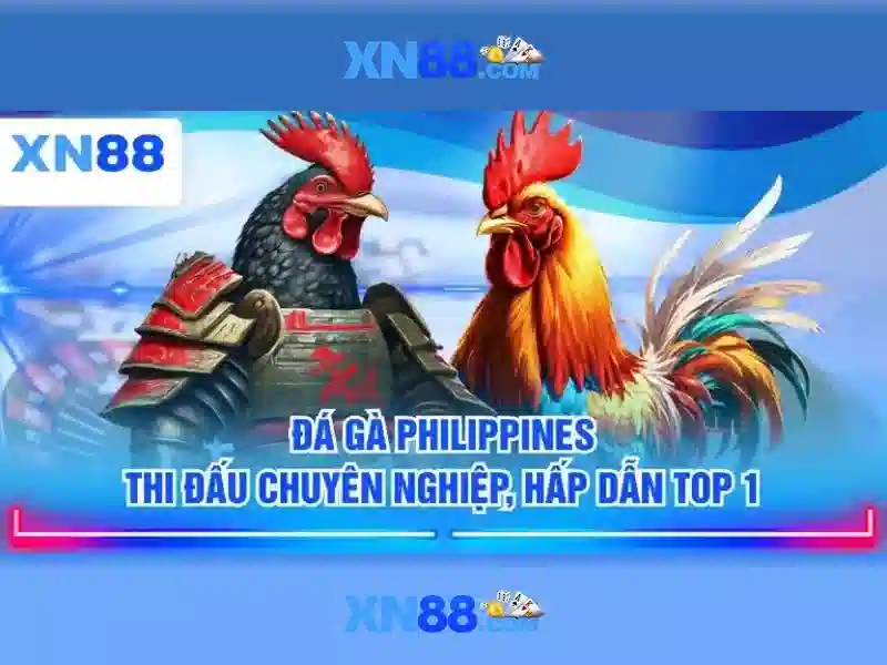 xn88 - Tổng quan về nền tảng trò chơi trực tuyến