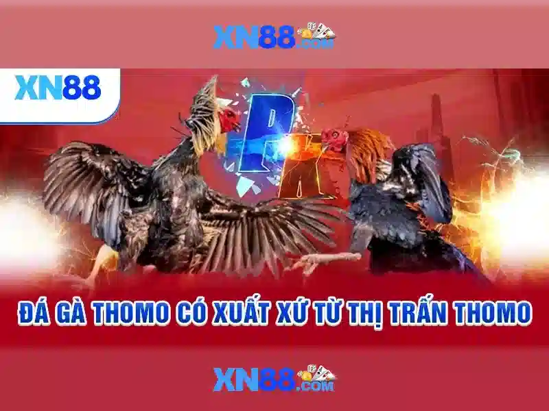 Các tính năng nổi bật\n\n