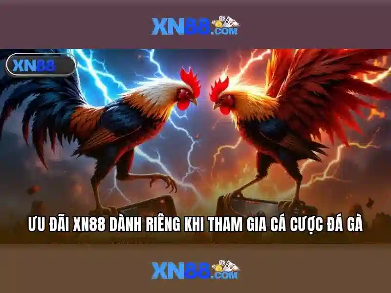 Hướng dẫn tham gia và sử dụng tài khoản
