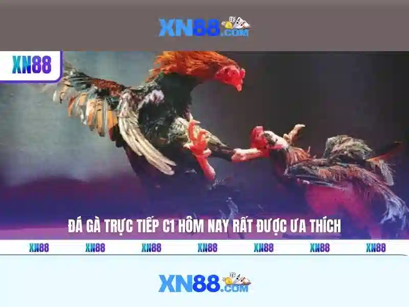 XN88: hướng dẫn và đánh giá tổng quan