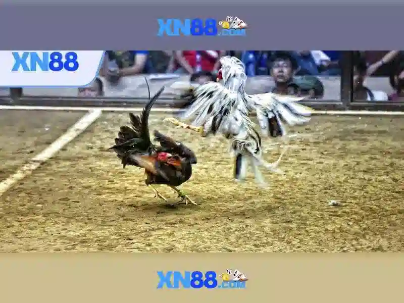 Huong di phat trien va tam nhin tuong lai Huong di phat trien va tam nhin tuong lai