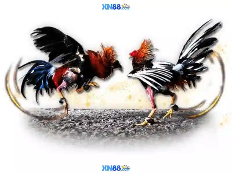 xn88 còn: trải nghiệm vượt trội tại app và game xn88