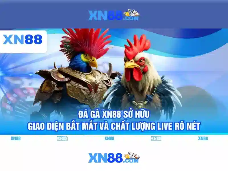 XN88: Nền tảng chơi game trực tuyến và cược thể thao