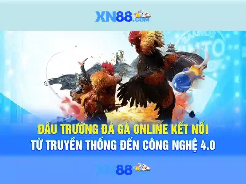 Giới thiệu về xn88 Giới thiệu về xn88