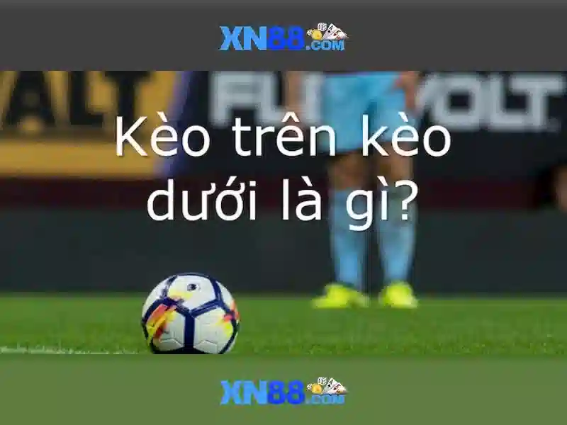 Chính sách và an toàn