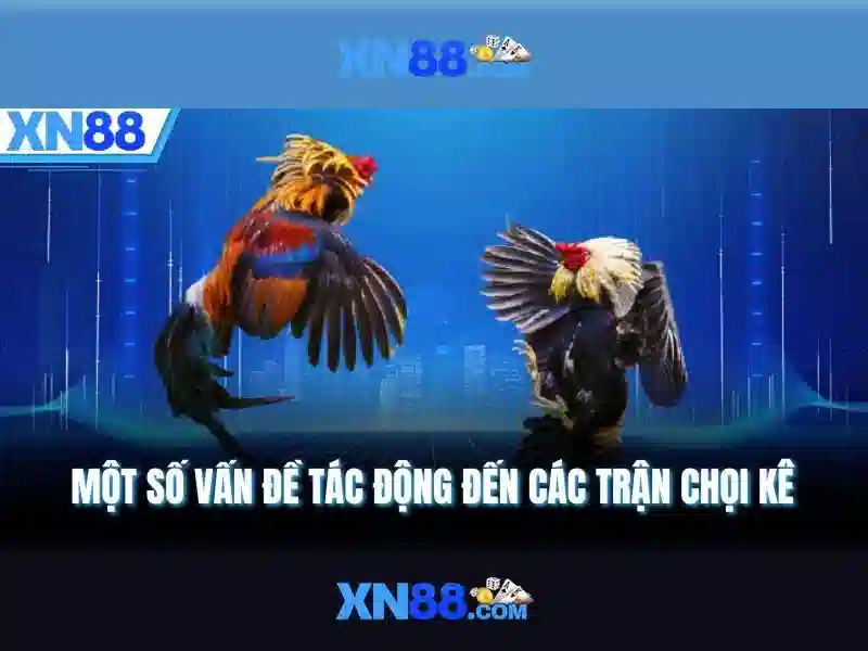 xn88: Nền tảng trò chơi trực tuyến và đánh giá an toàn