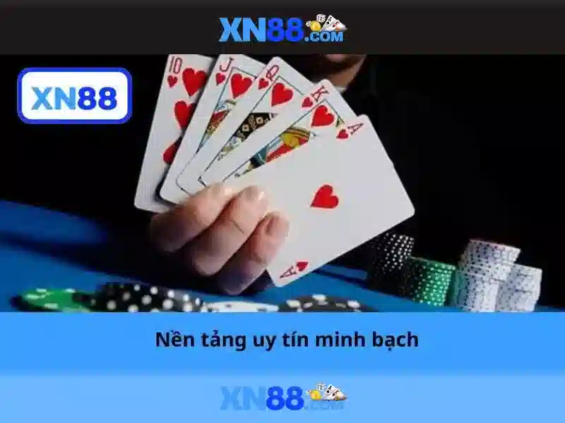 Thanh toán và hỗ trợ người dùng