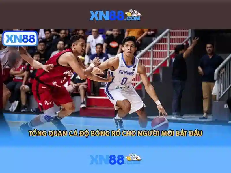 xn88: Giới thiệu và những điều cơ bản
