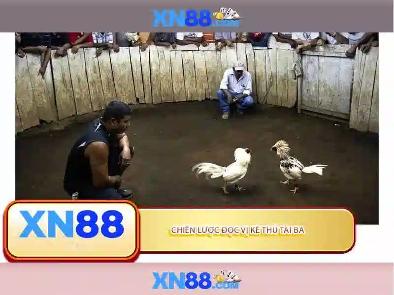 xn88: Nền tảng cá cược trực tuyến tại châu Á