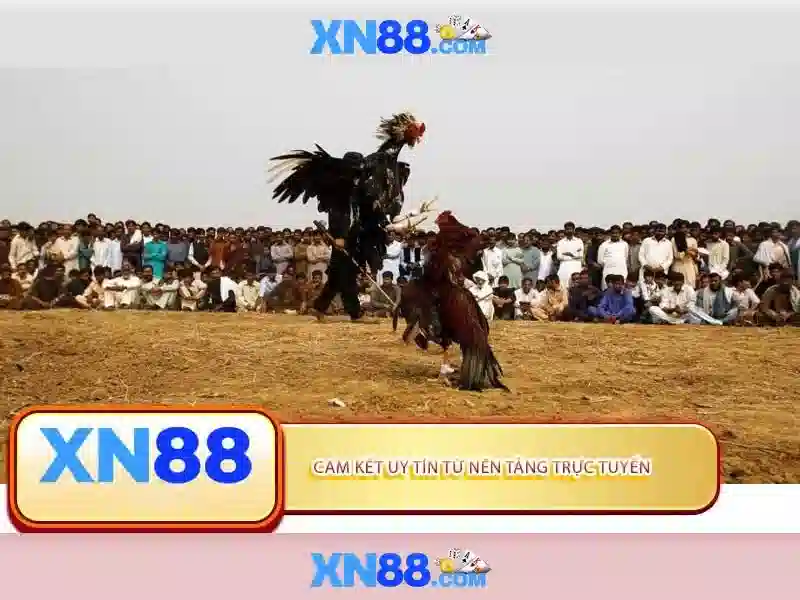 xn88: Tổng quan và những điểm nổi bật