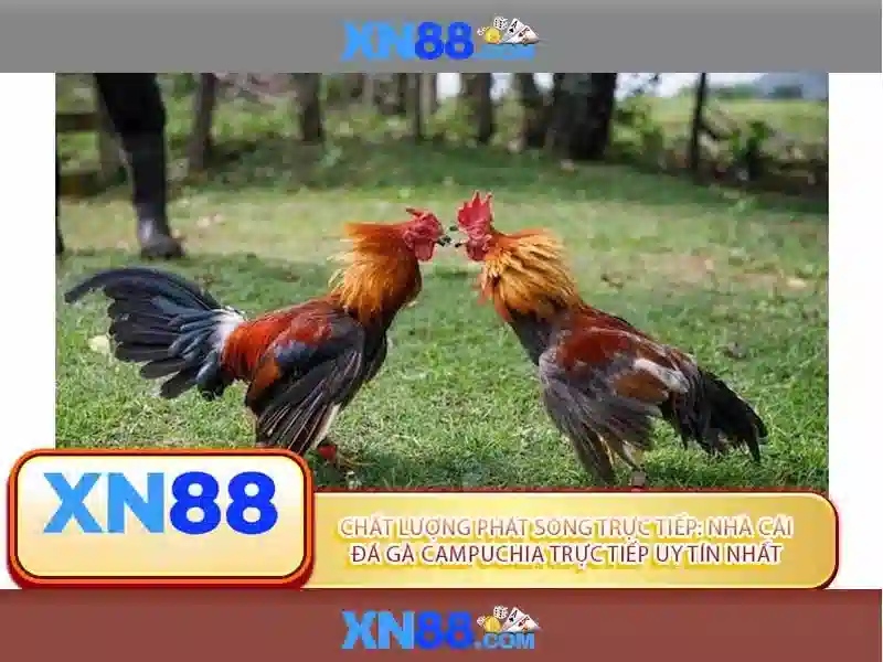 An toàn và hỗ trợ người dùng\n\n