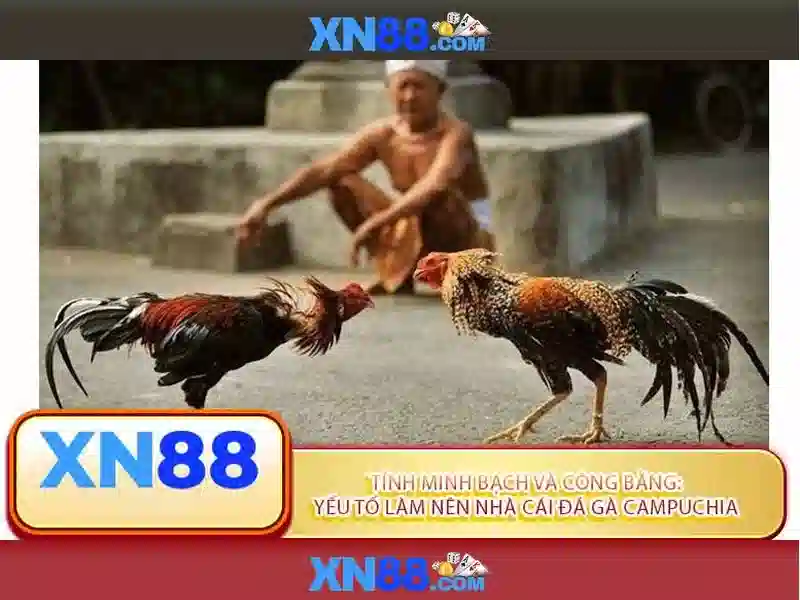 Cac tinh nang noi bat cua xn88