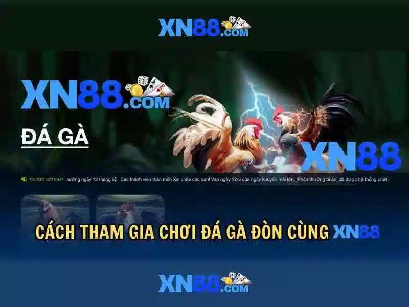 xn88: Đánh giá tổng quan về nền tảng cá cược