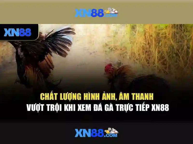 An toàn và xác thực người dùng\n