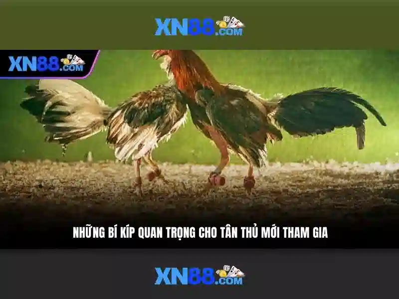 Bảo mật và sự minh bạch trong giao dịch