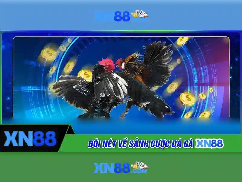Đặc điểm nổi bật của Xn88